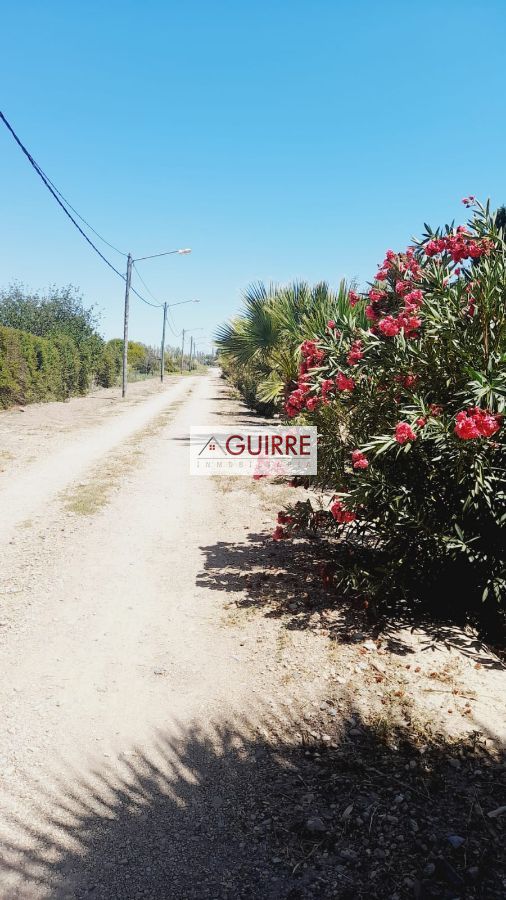 Terreno en Venta en San Rafael, Mendoza