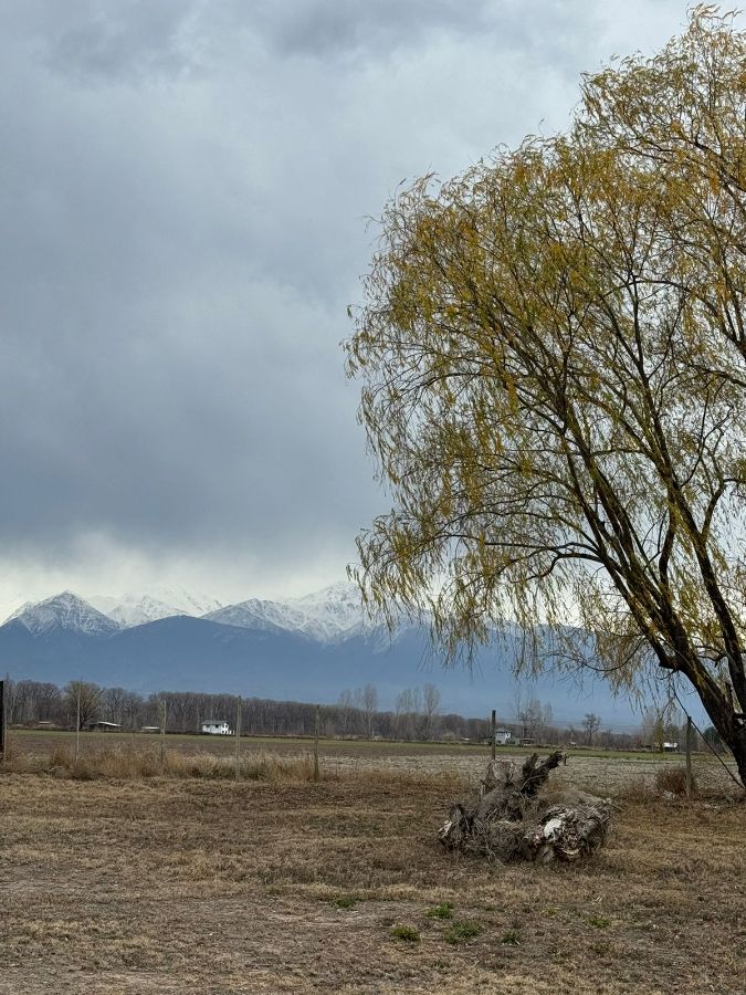 Terreno en Venta en Tunuyan, Mendoza