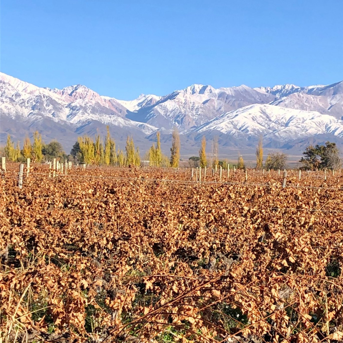 Terreno en Venta en Tunuyan, Mendoza