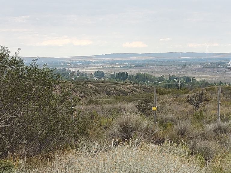 Terreno en Venta en Lujan de Cuyo, Mendoza