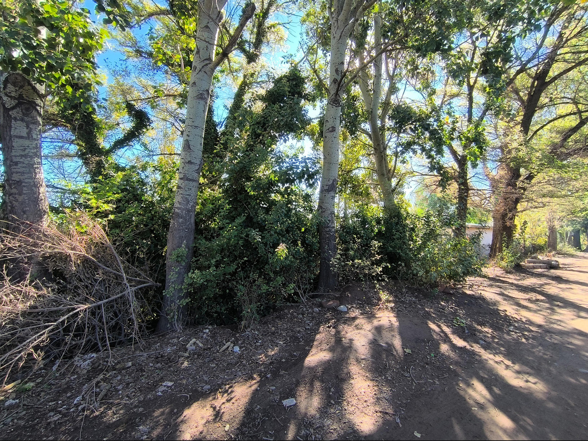 Terreno en Venta en Lujan de Cuyo, Mendoza