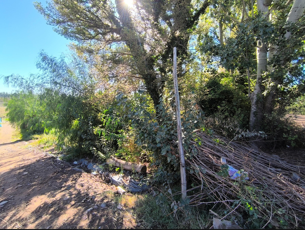 Terreno en Venta en Lujan de Cuyo, Mendoza