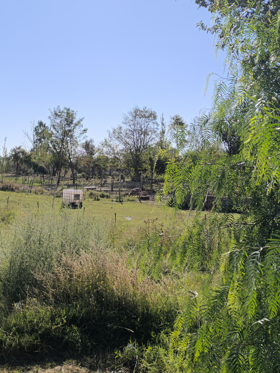 Terreno en Venta en Lujan de Cuyo, Mendoza