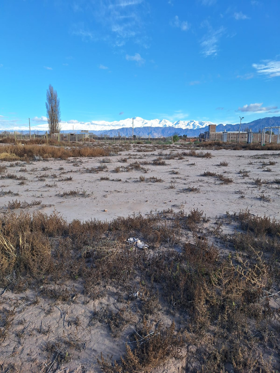 Terreno en Venta en Lujan de Cuyo, Mendoza