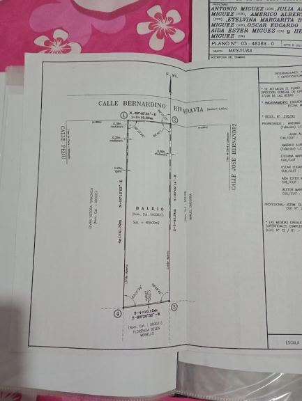 Imagen 11