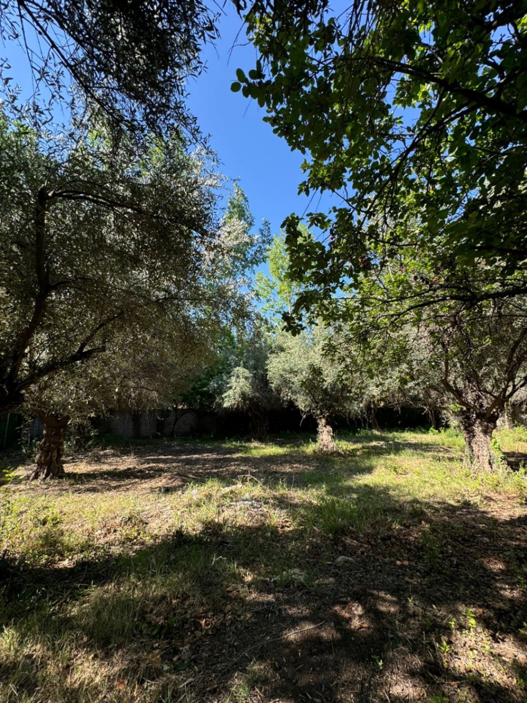 Terreno en Venta en Lujan de Cuyo, Mendoza