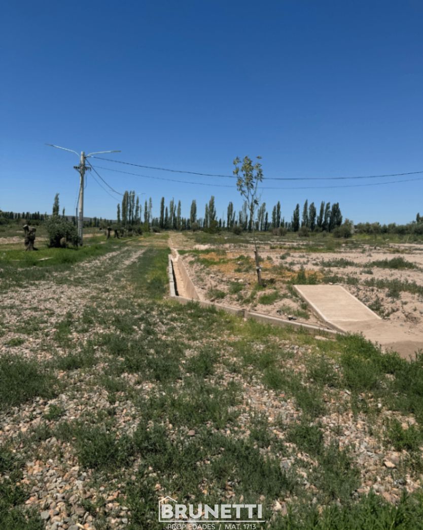 Terreno en Venta en Lujan de Cuyo, Mendoza