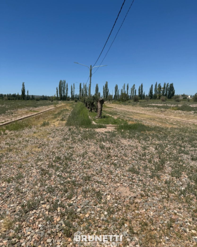 Terreno en Venta en Lujan de Cuyo, Mendoza
