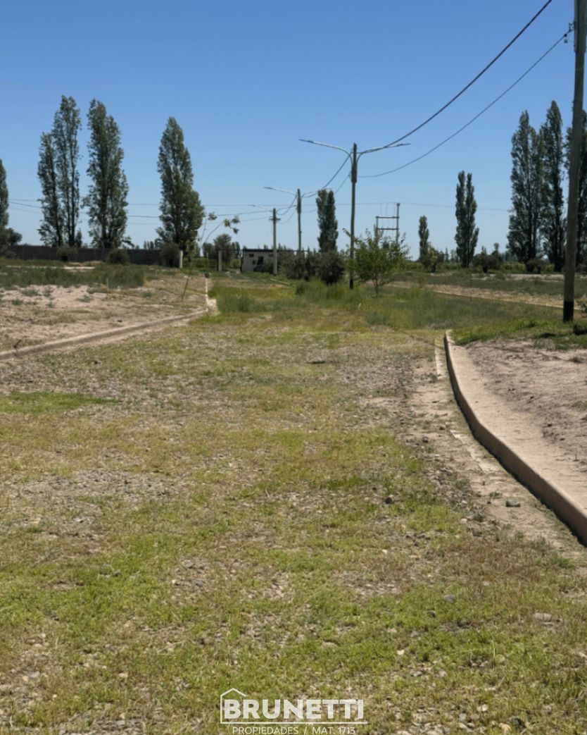 Terreno en Venta en Lujan de Cuyo, Mendoza