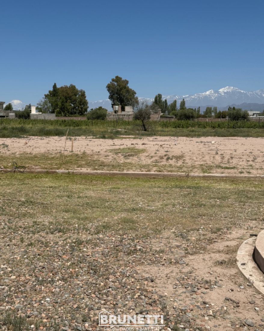 Terreno en Venta en Lujan de Cuyo, Mendoza