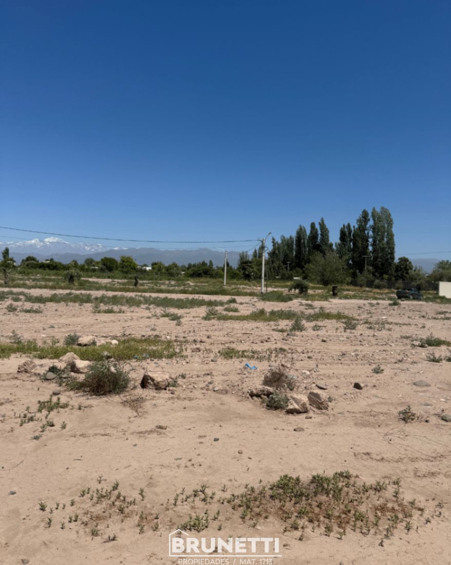 Terreno en Venta en Lujan de Cuyo, Mendoza