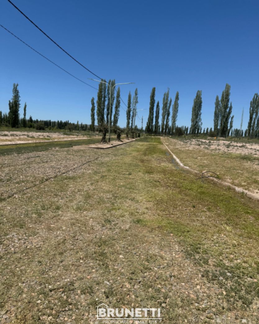 Terreno en Venta en Lujan de Cuyo, Mendoza