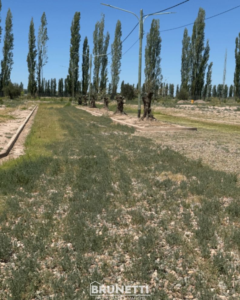 Terreno en Venta en Lujan de Cuyo, Mendoza
