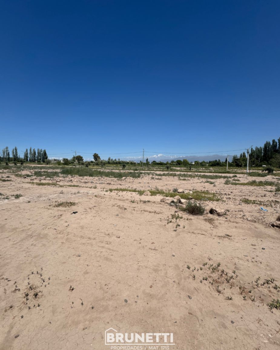 Terreno en Venta en Lujan de Cuyo, Mendoza