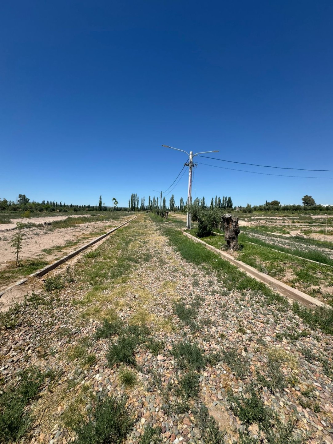 Terreno en Venta en Lujan de Cuyo, Mendoza