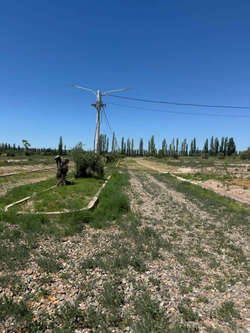 Terreno en Venta en Lujan de Cuyo, Mendoza