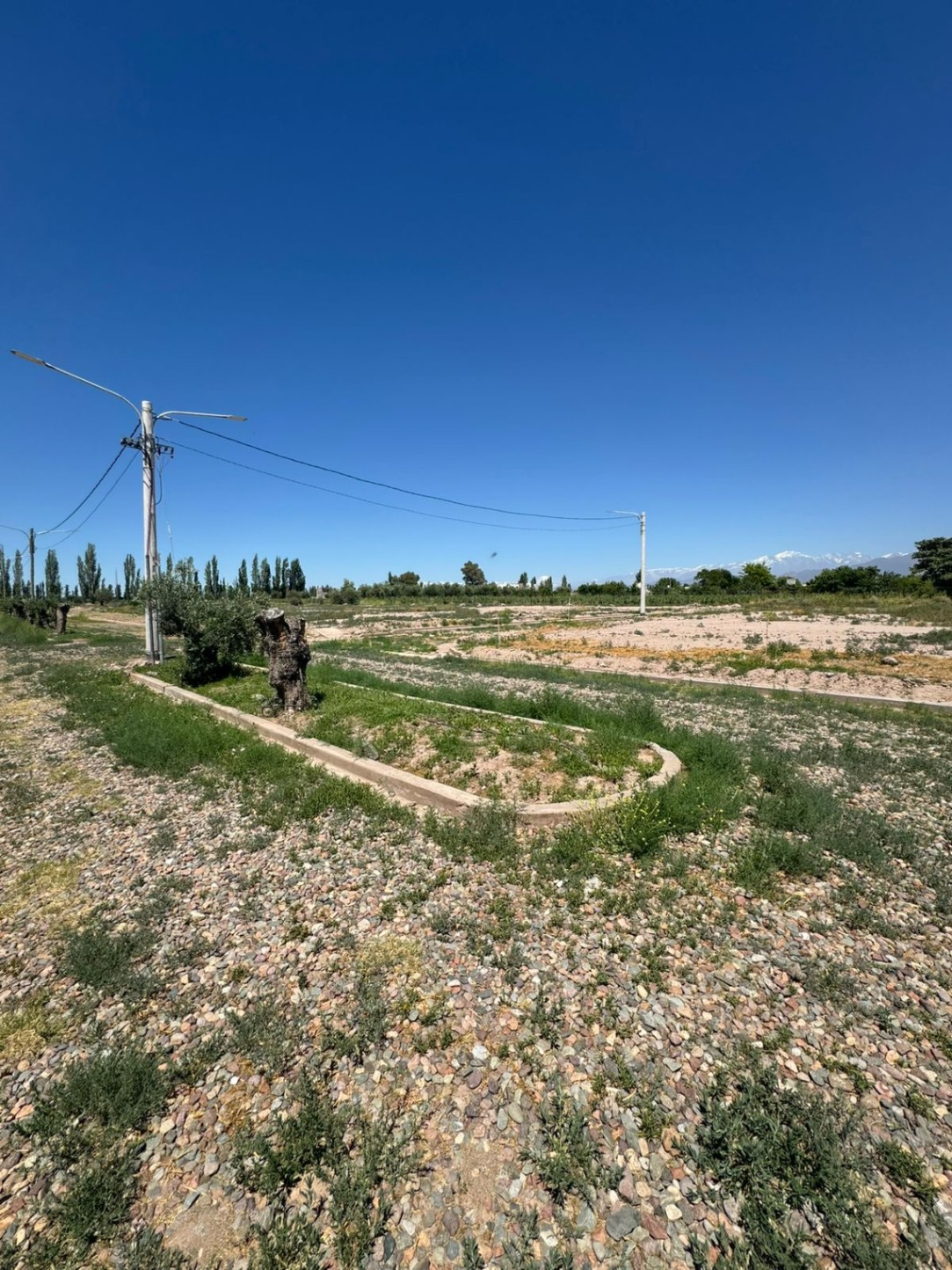 Terreno en Venta en Lujan de Cuyo, Mendoza