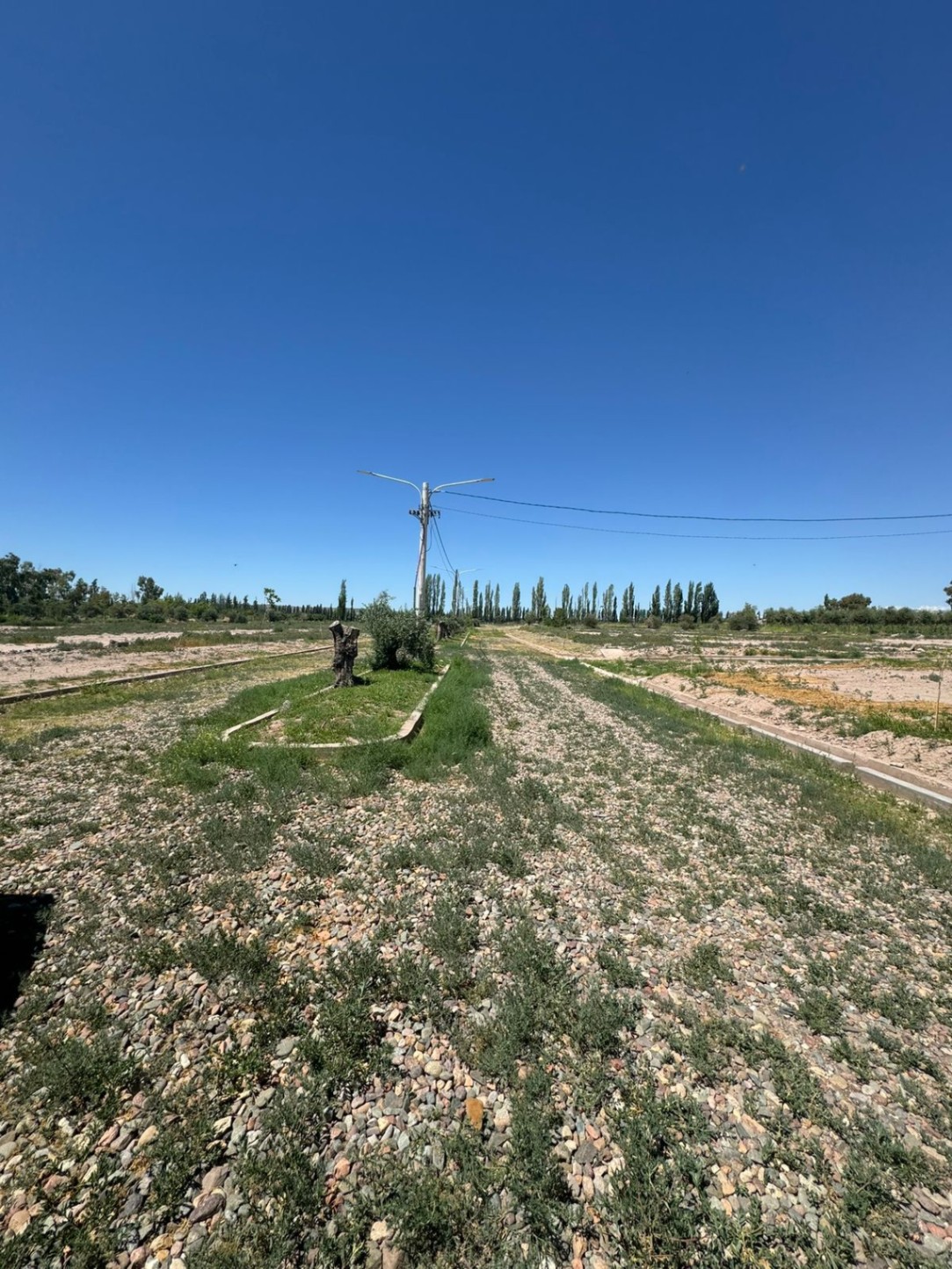 Terreno en Venta en Lujan de Cuyo, Mendoza