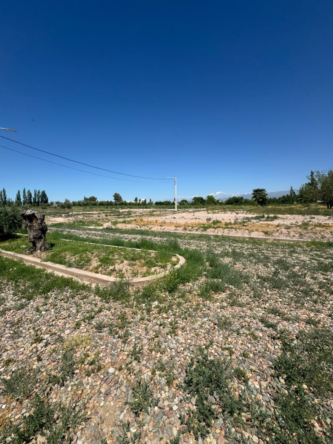 Terreno en Venta en Lujan de Cuyo, Mendoza
