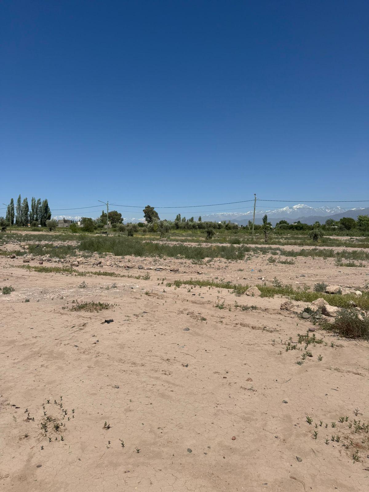 Terreno en Venta en Lujan de Cuyo, Mendoza