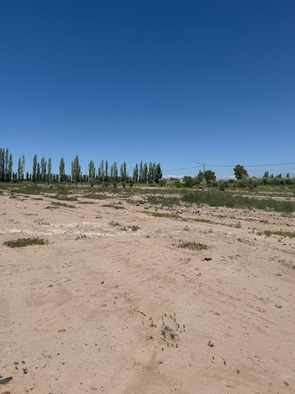 Terreno en Venta en Lujan de Cuyo, Mendoza