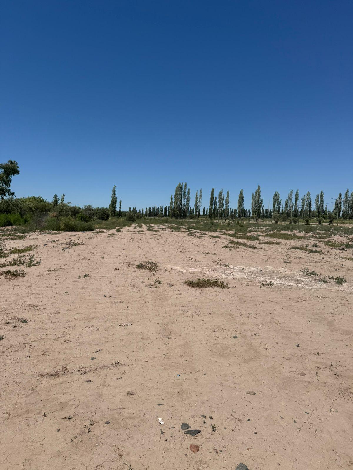 Terreno en Venta en Lujan de Cuyo, Mendoza