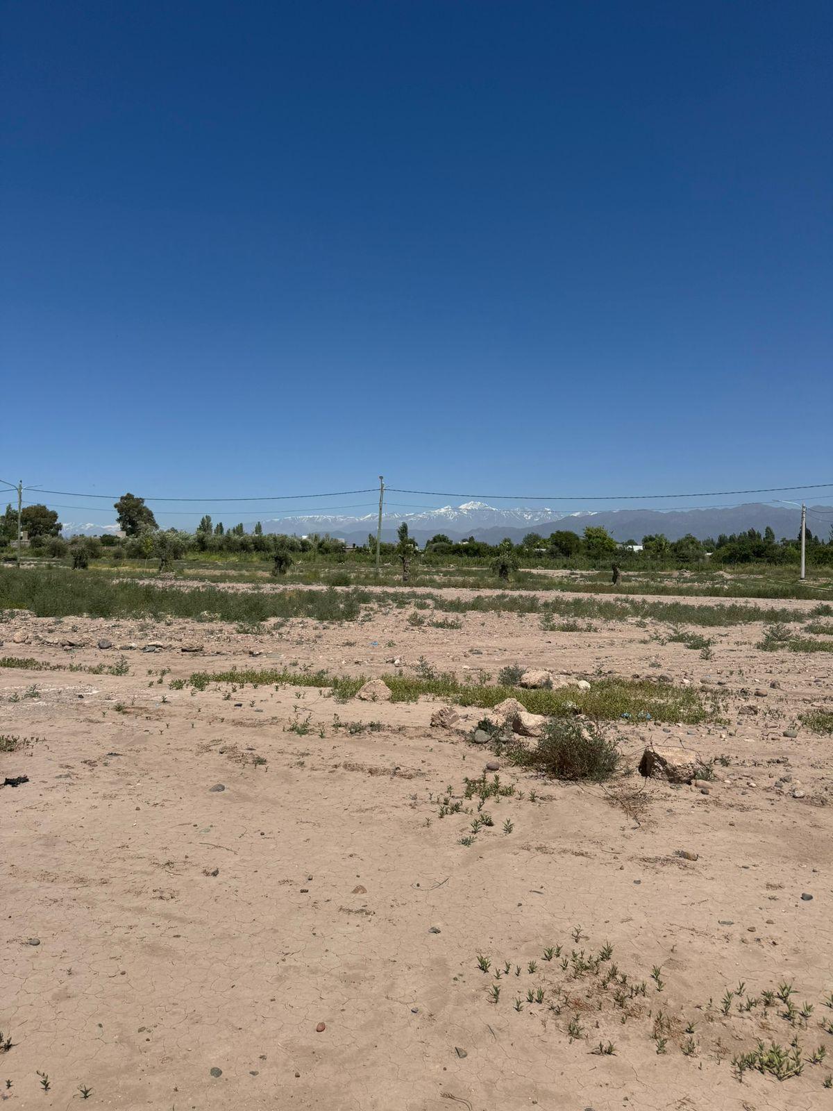 Terreno en Venta en Lujan de Cuyo, Mendoza