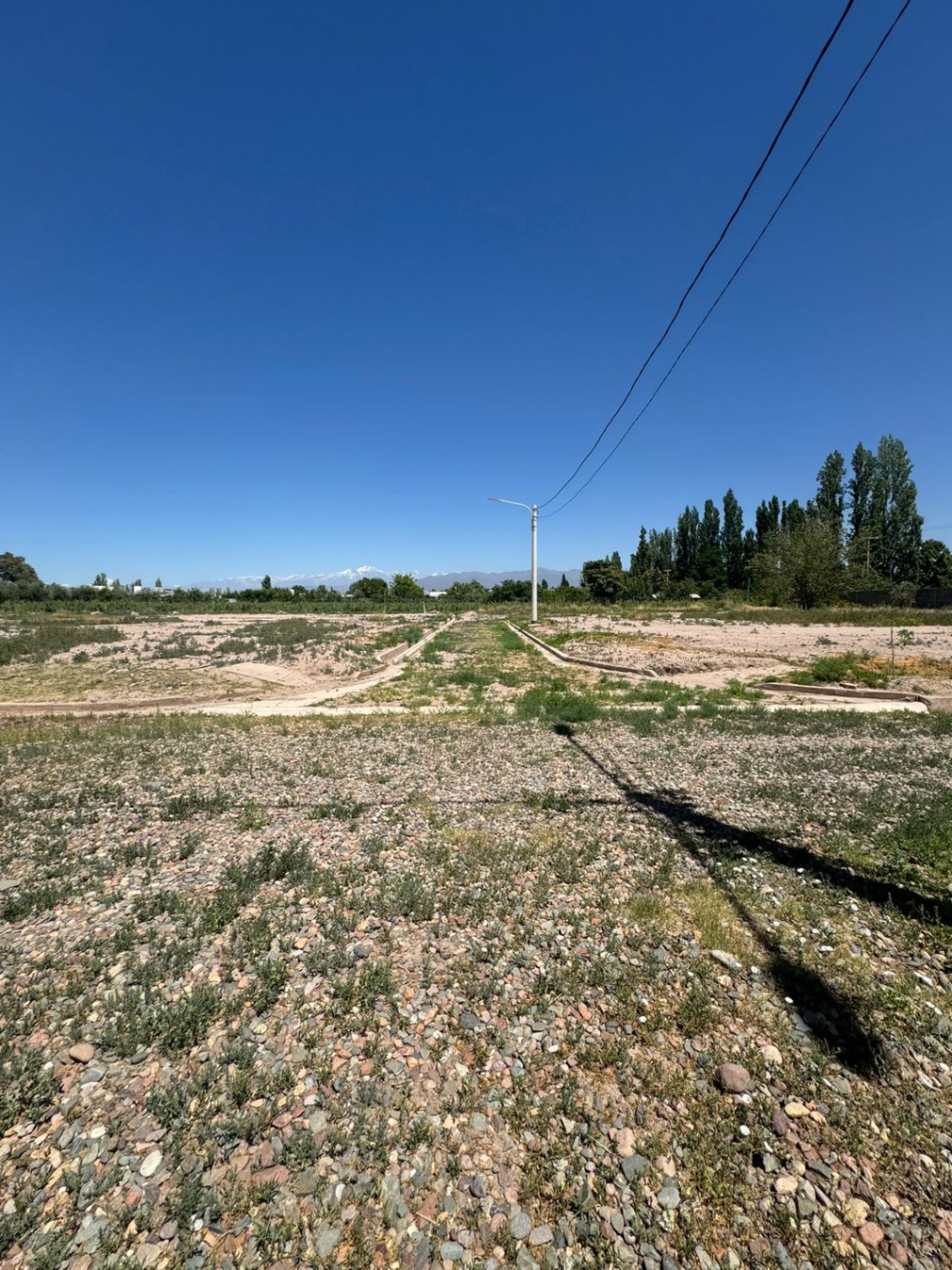 Terreno en Venta en Lujan de Cuyo, Mendoza