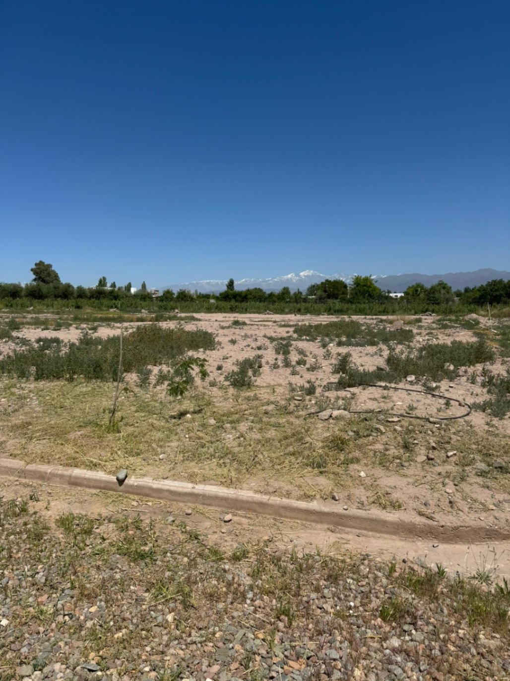 Terreno en Venta en Lujan de Cuyo, Mendoza