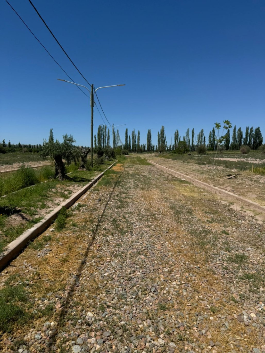 Terreno en Venta en Lujan de Cuyo, Mendoza