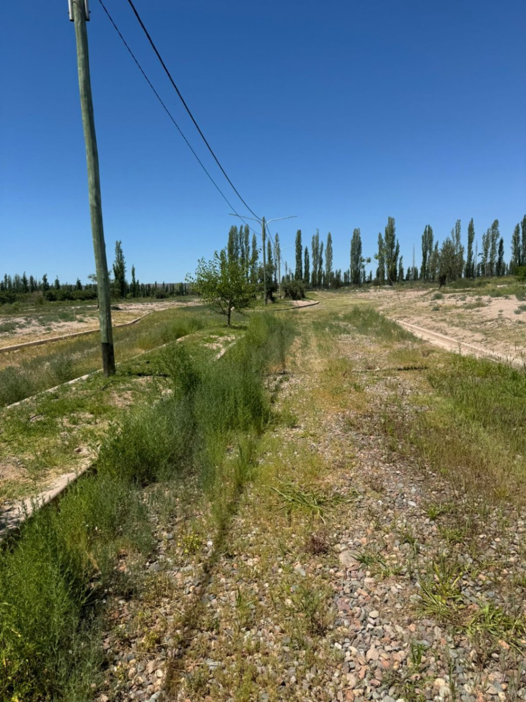 Terreno en Venta en Lujan de Cuyo, Mendoza