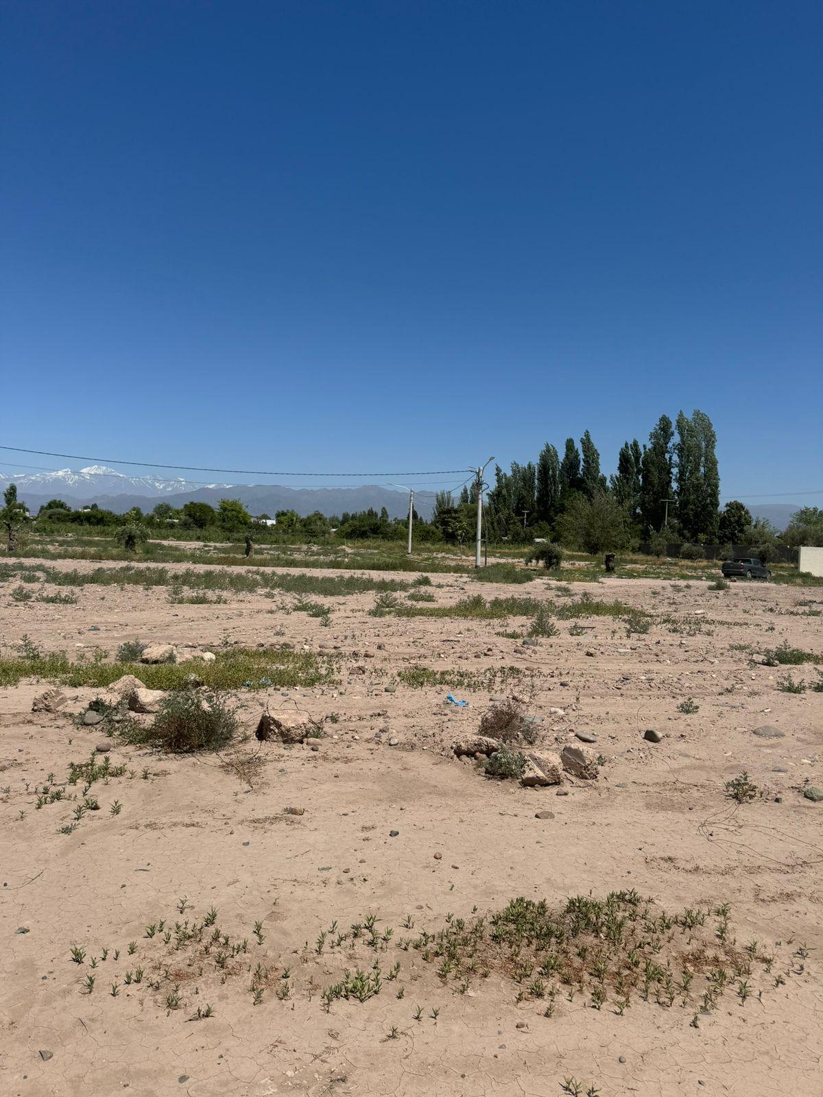 Terreno en Venta en Lujan de Cuyo, Mendoza