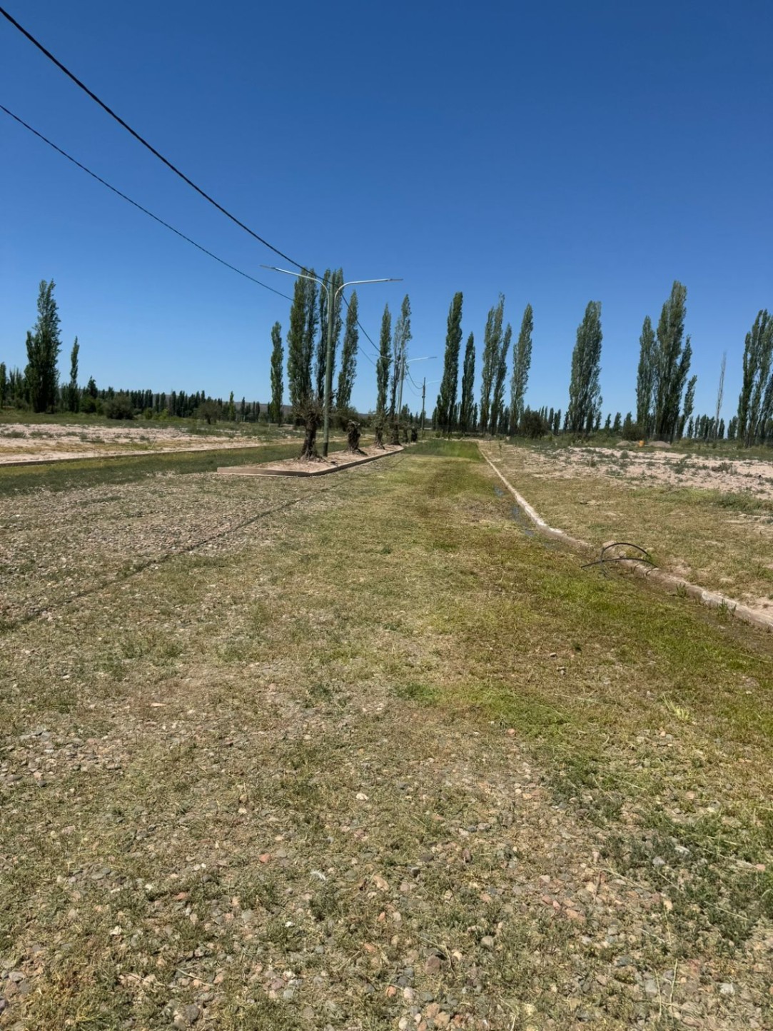 Terreno en Venta en Lujan de Cuyo, Mendoza