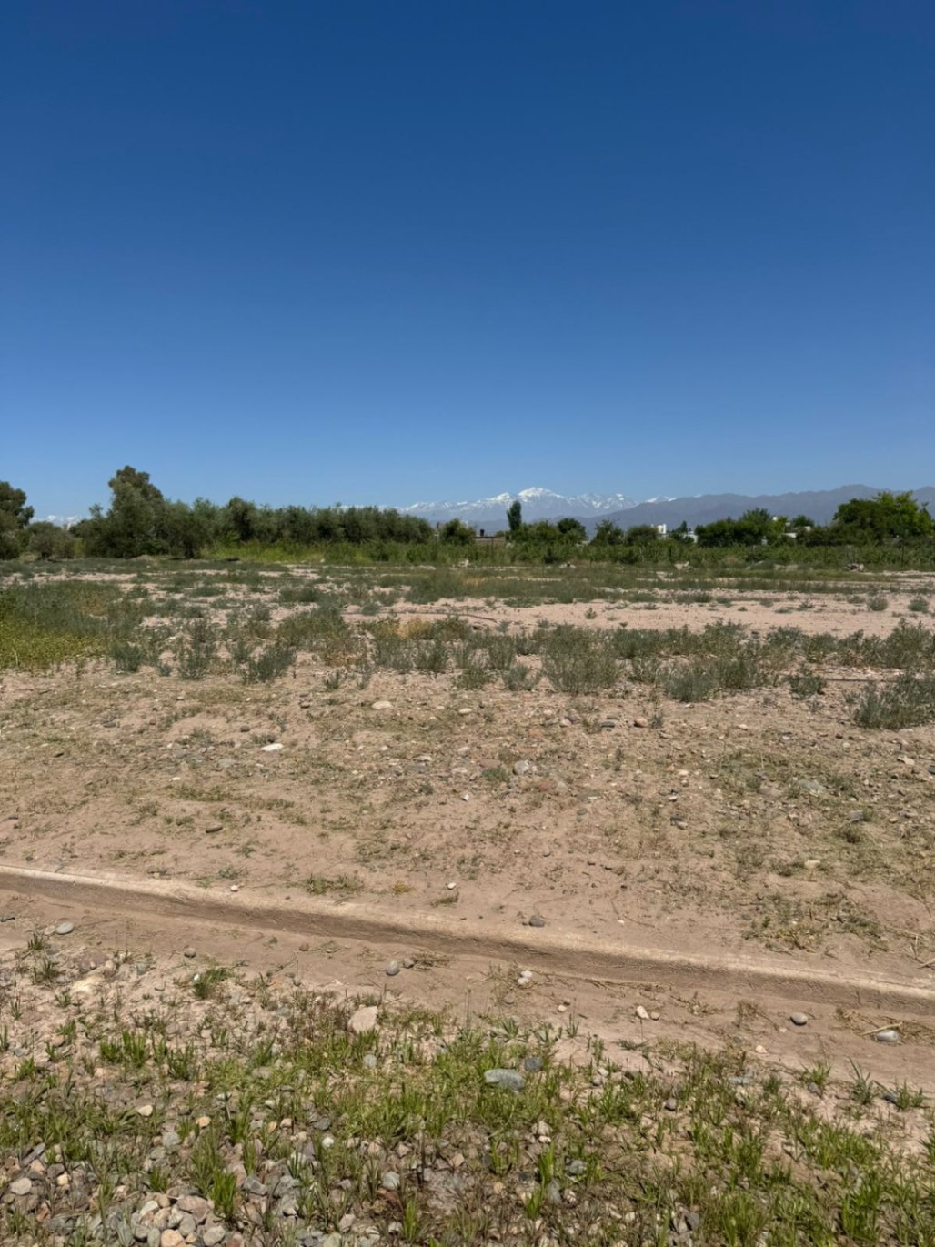 Terreno en Venta en Lujan de Cuyo, Mendoza