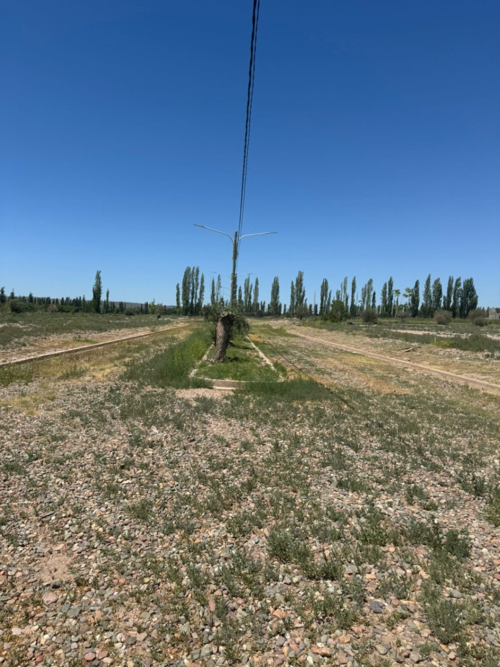 Terreno en Venta en Lujan de Cuyo, Mendoza