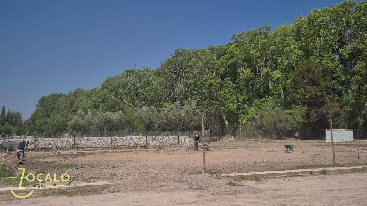 Terreno en Venta en Lujan de Cuyo, Mendoza