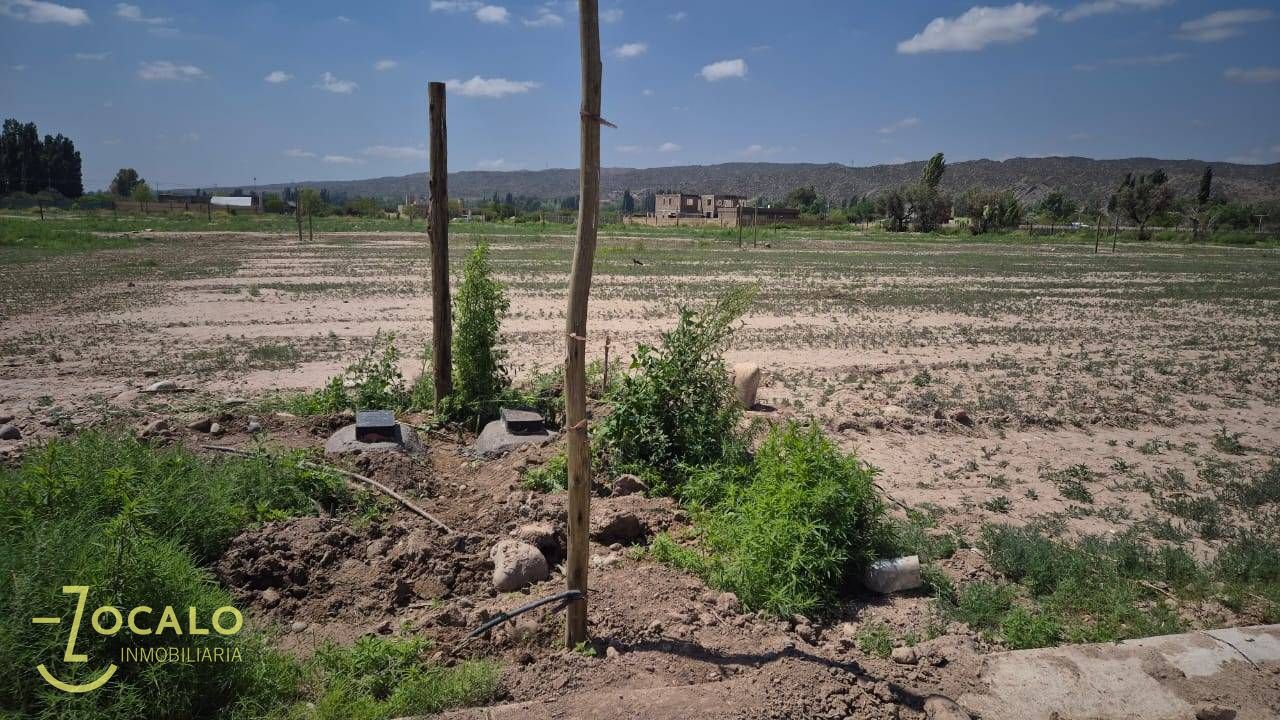 Terreno en Venta en Lujan de Cuyo, Mendoza