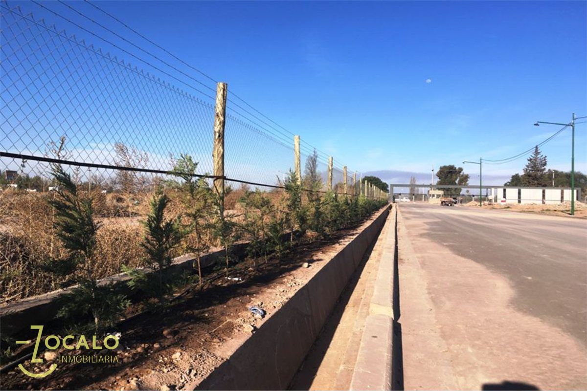 Terreno en Venta en Lujan de Cuyo, Mendoza
