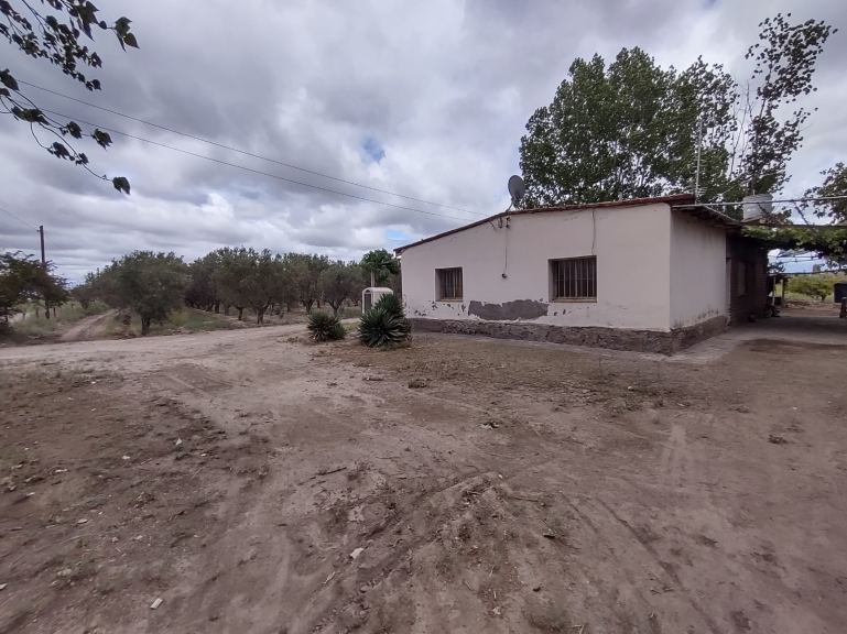 Finca en Venta en Junin, Mendoza