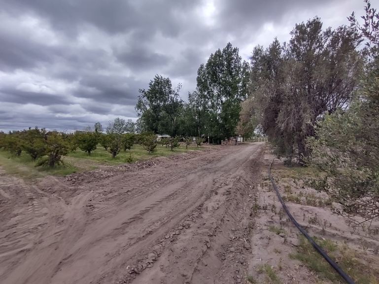 Finca en Venta en Junin, Mendoza