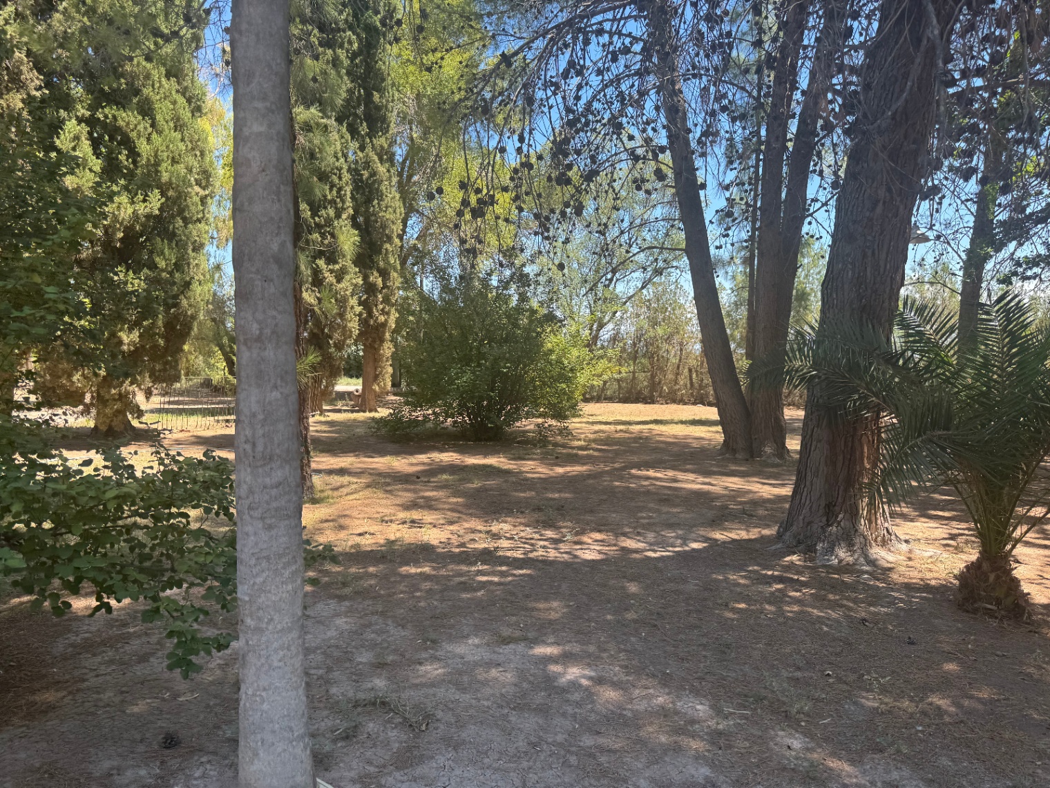 Fondo de Comercio en Venta en Lavalle, Mendoza