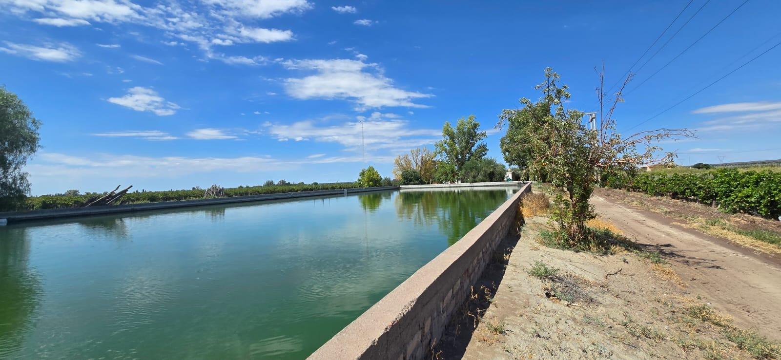 Finca en Venta en Lujan de Cuyo, Mendoza