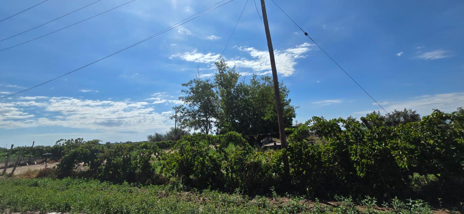 Finca en Venta en Lujan de Cuyo, Mendoza