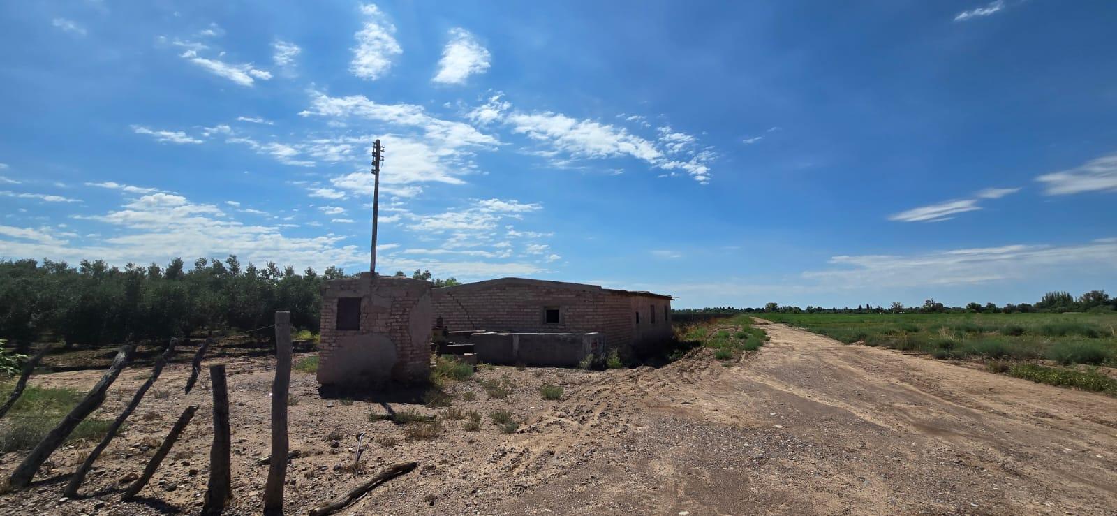Finca en Venta en Lujan de Cuyo, Mendoza