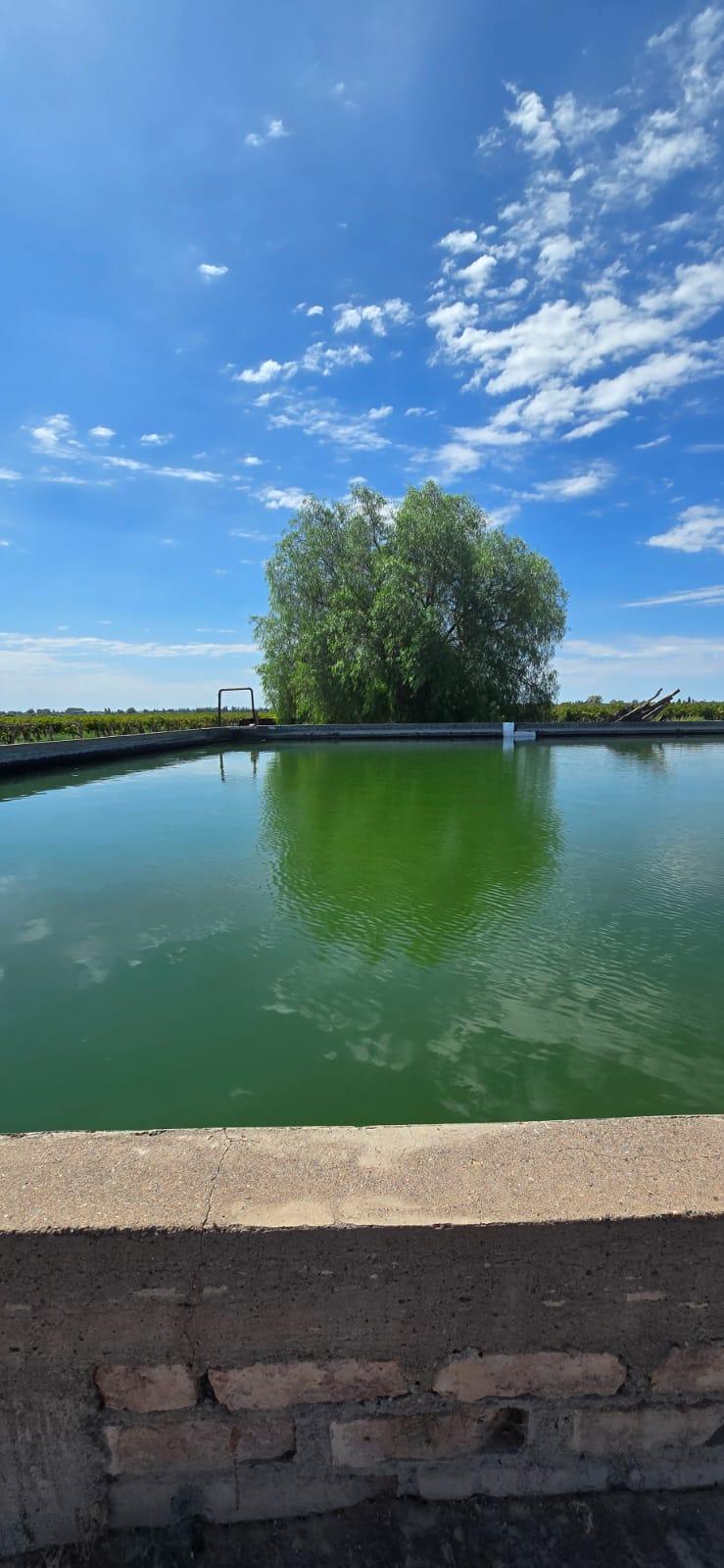 Finca en Venta en Lujan de Cuyo, Mendoza