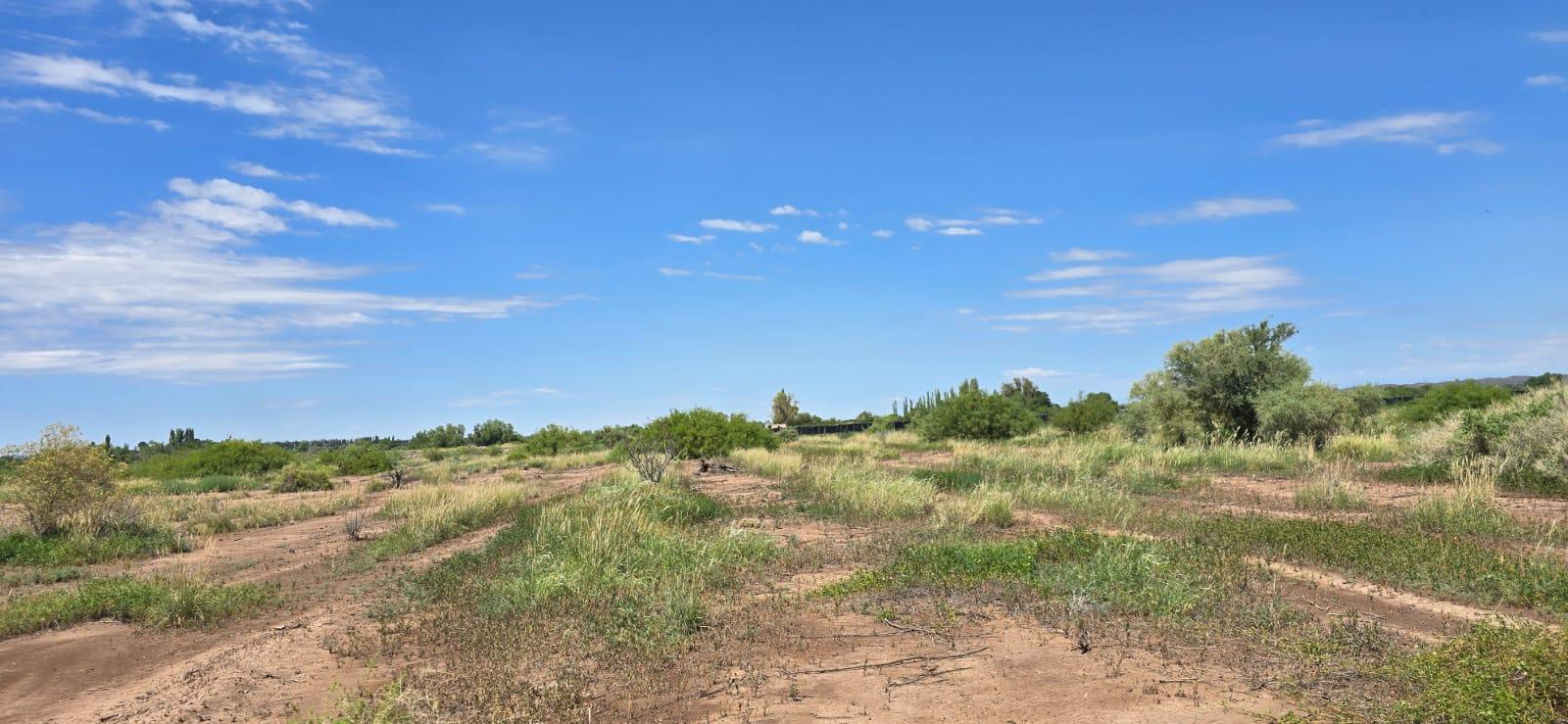 Finca en Venta en Lujan de Cuyo, Mendoza