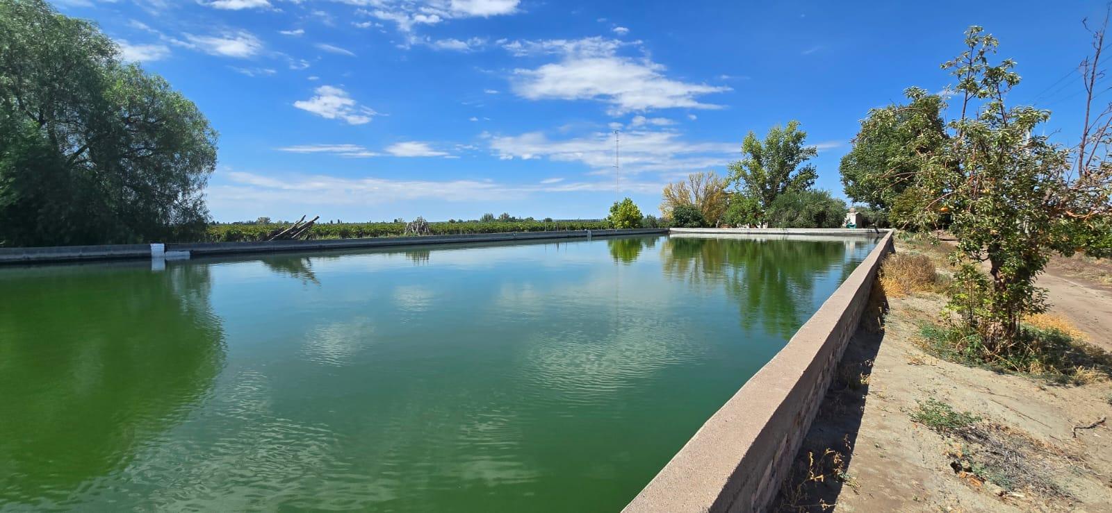 Finca en Venta en Lujan de Cuyo, Mendoza
