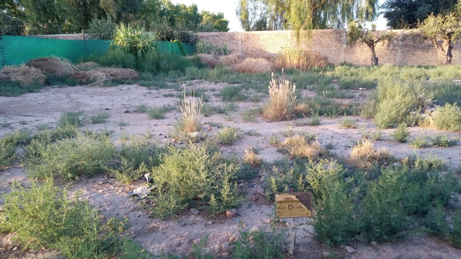Terreno en Venta en Maipu, Mendoza