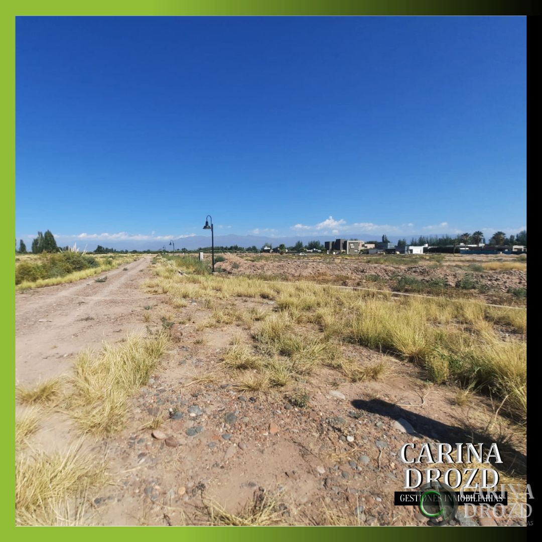 Terreno en Venta en Maipu, Mendoza