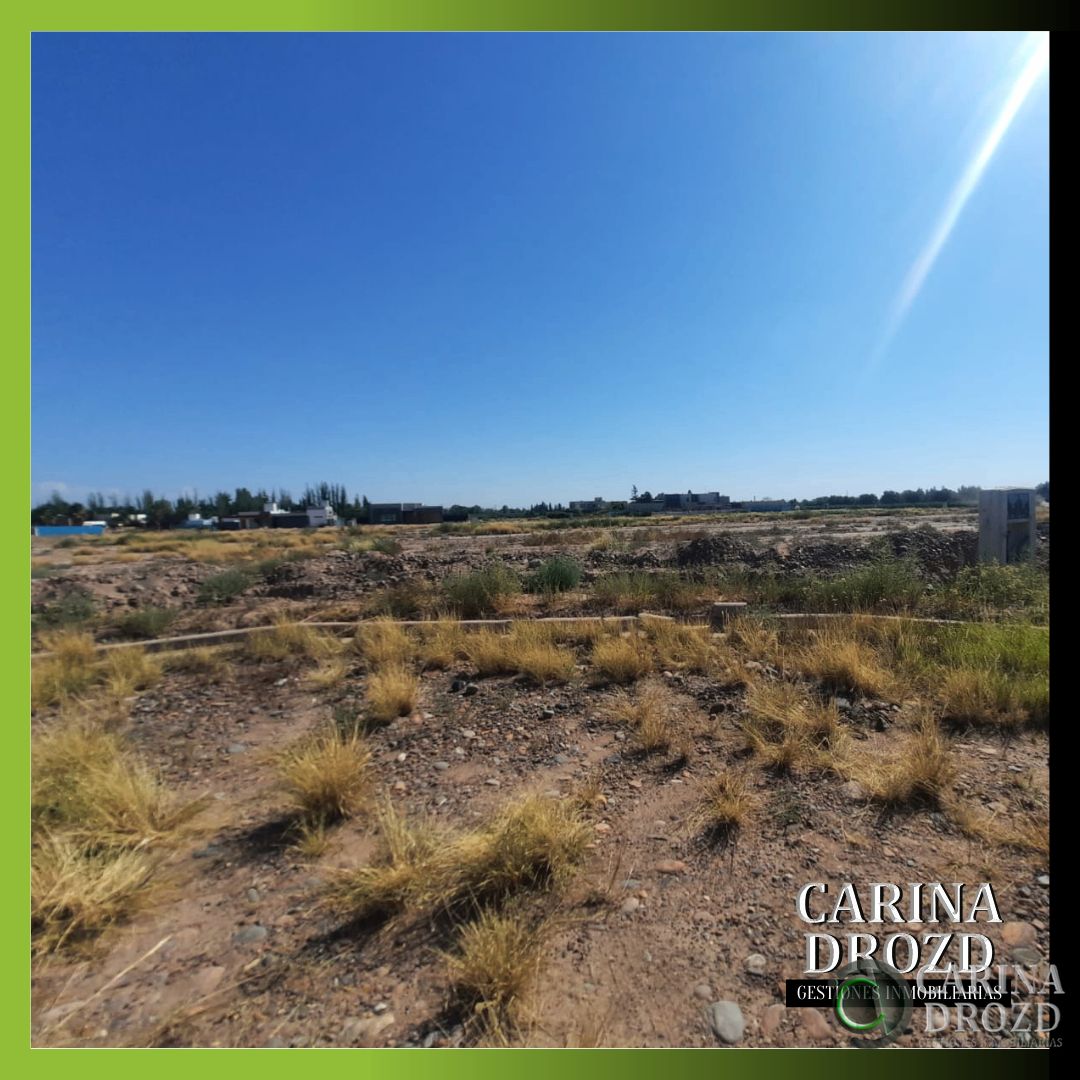 Terreno en Venta en Maipu, Mendoza